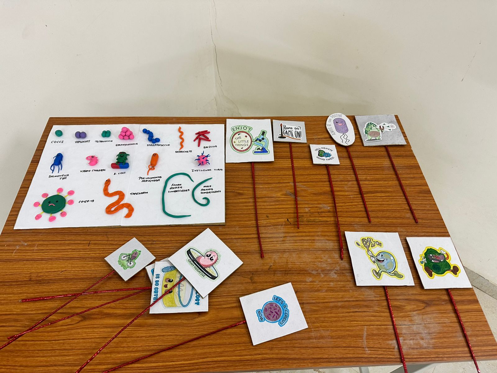 Microbiology Workshop 2025