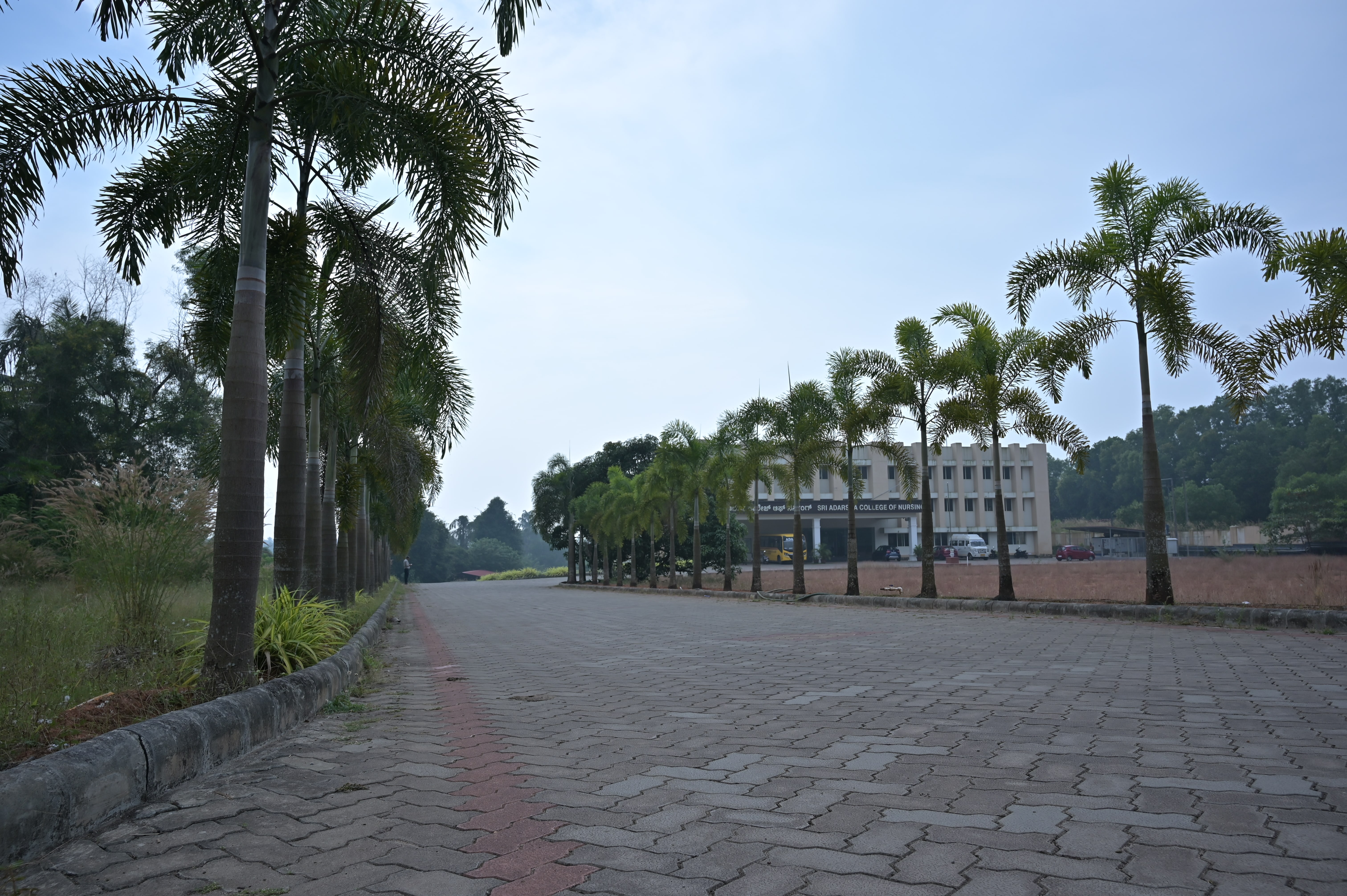 College Walk Way